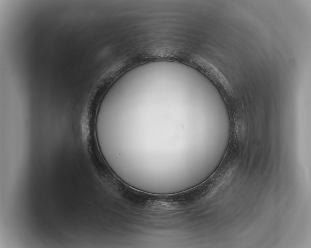 X0000101430635200807211151