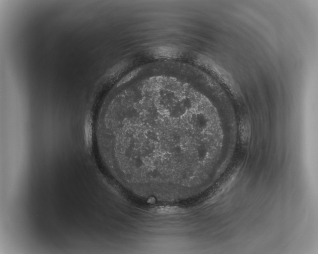 X0000101430637200807211151