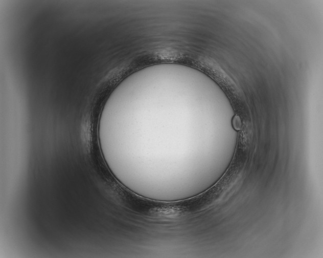 X0000101430639200807211151