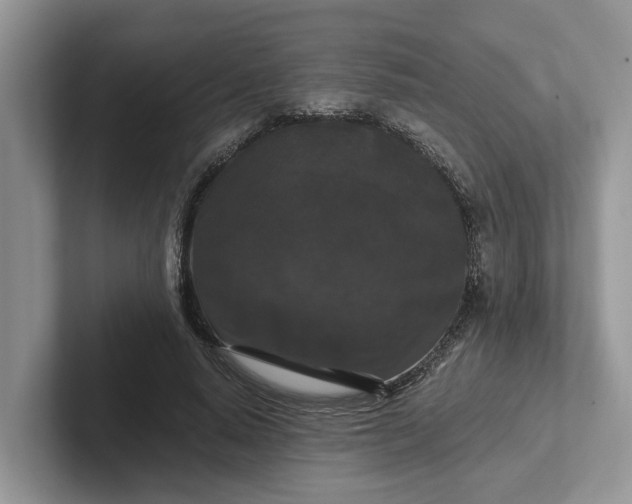 X0000101430640200807211151