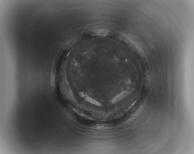 X0000101430641200807211151