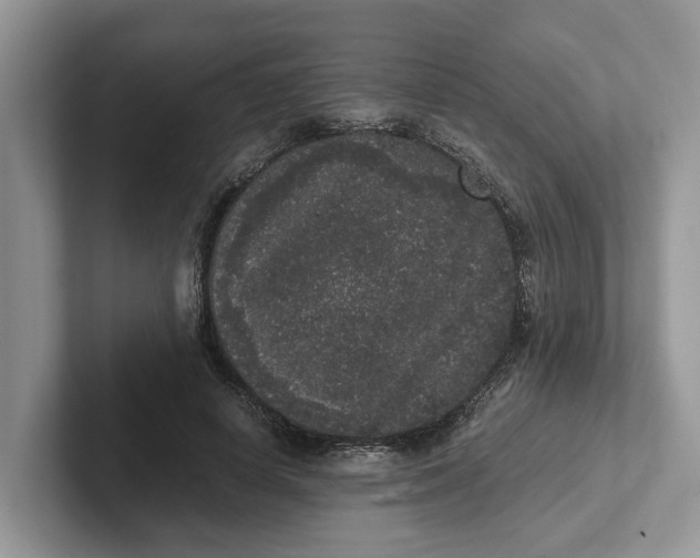 X0000101430642200807211151