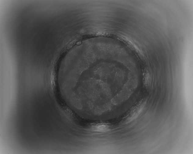 X0000101430643200807211151