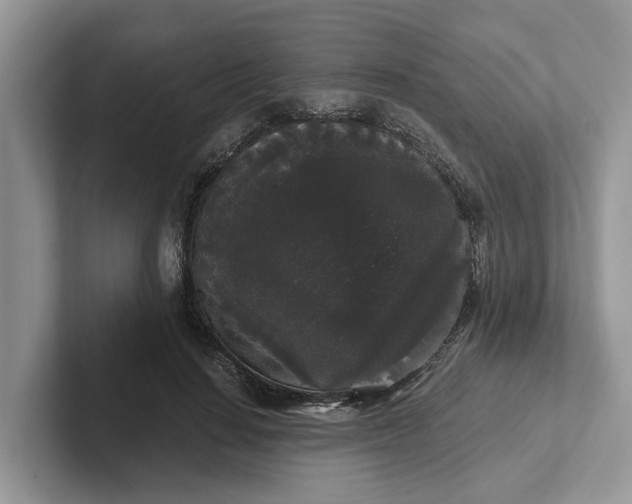 X0000101430644200807211151