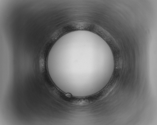 X0000101430646200807211151