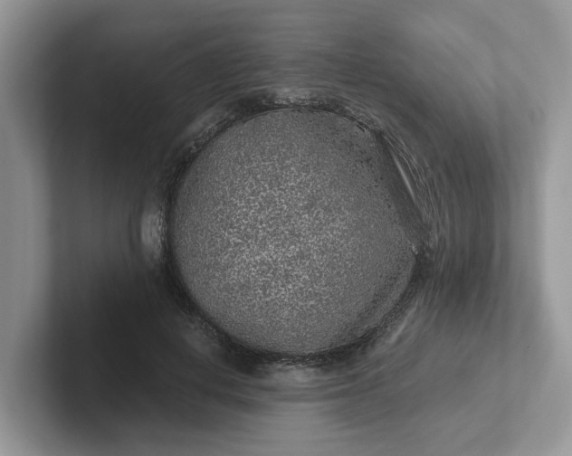 X0000101430648200807211151