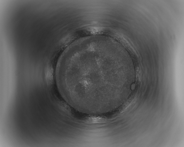 X0000101430650200807211151