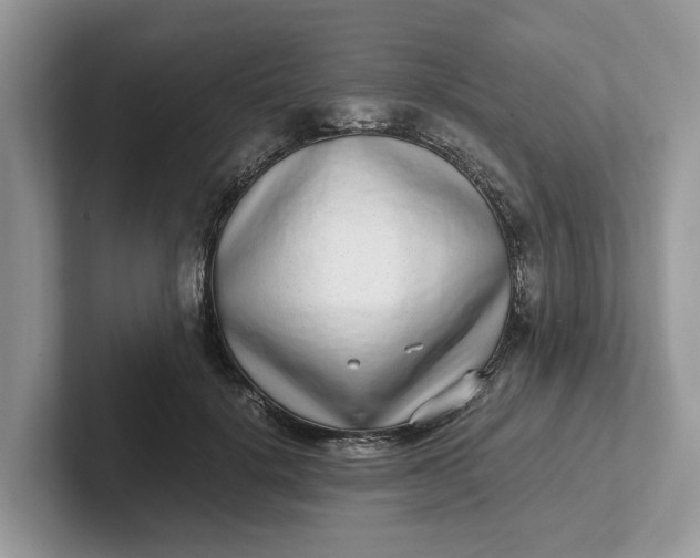 X0000101430652200807211151