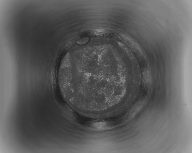 X0000101430653200807211151