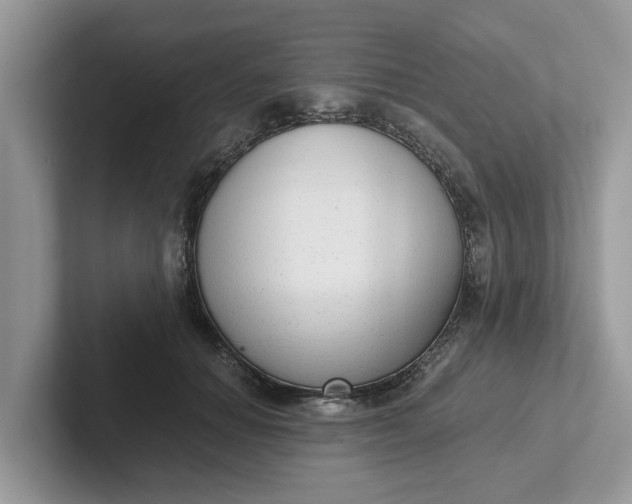 X0000101430654200807211151