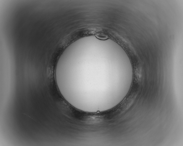 X0000101430657200807211151