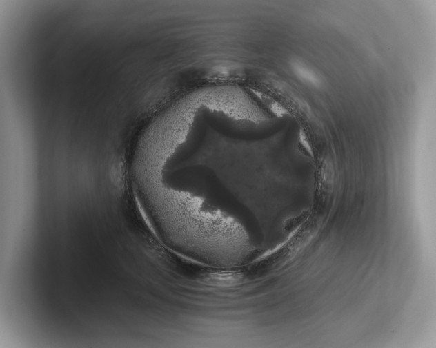 X0000101430659200807211151