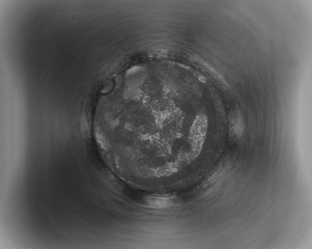 X0000101430661200807211151