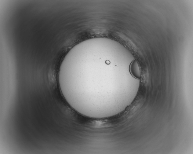 X0000101430662200807211151