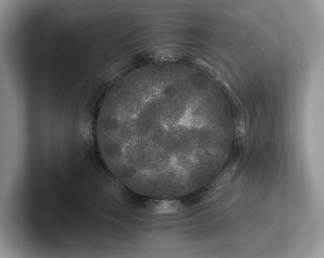 X0000101430663200807211151