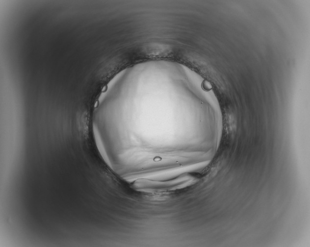 X0000101430664200807211151