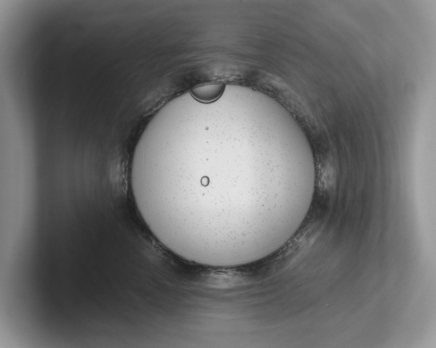 X0000101430666200807211151