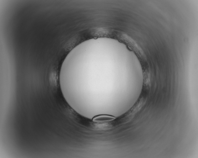 X0000101430669200807211151