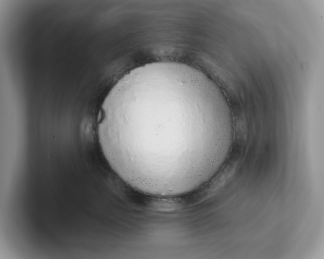 X0000101430671200807211151