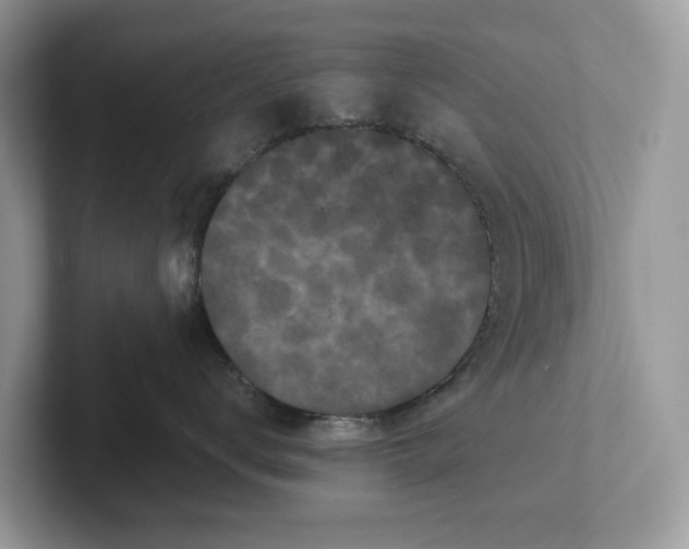 X0000101430672200807211151