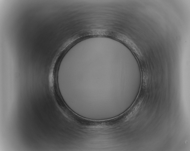 X0000101430674200807211151