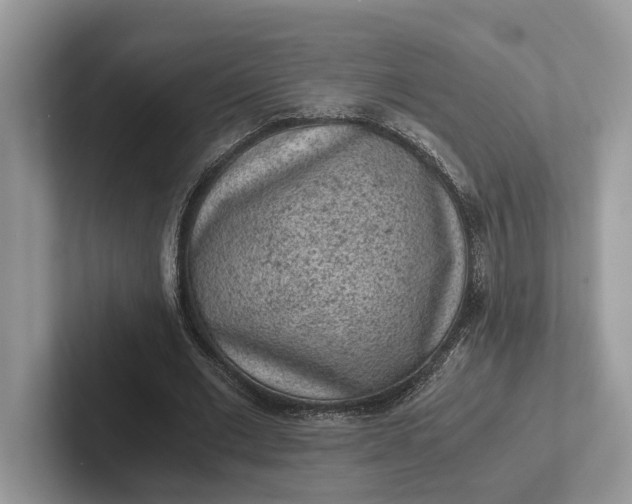 X0000101430677200807211150