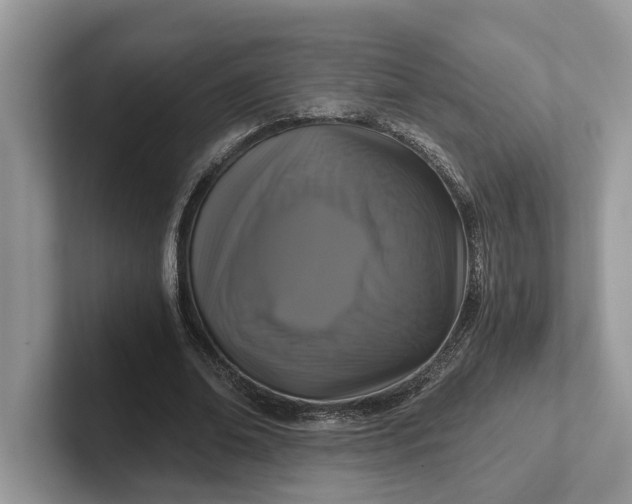 X0000101430678200807211150