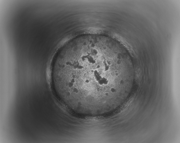 X0000101430679200807211150