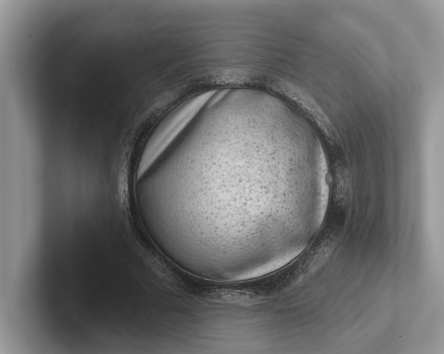 X0000101430681200807211150