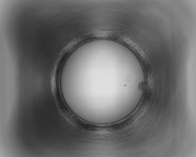 X0000101430682200807211150