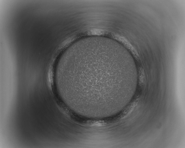 X0000101430683200807211150