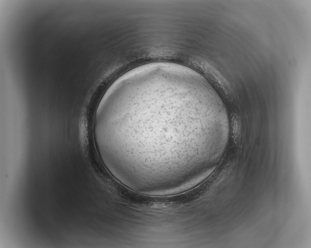 X0000101430684200807211150