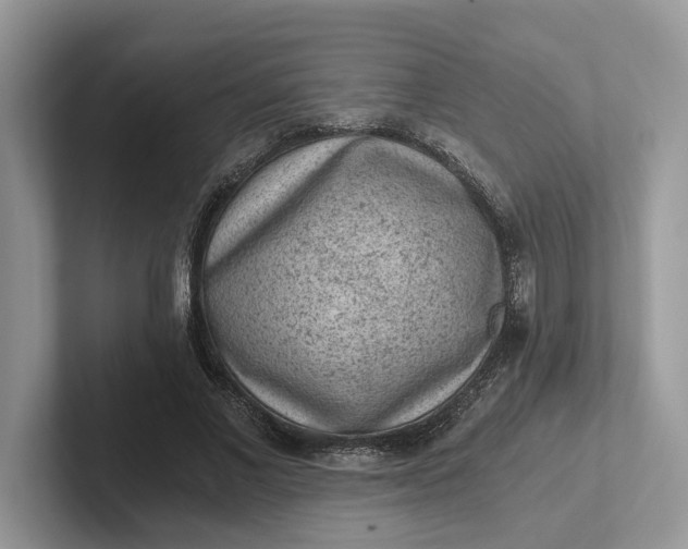 X0000101430685200807211150