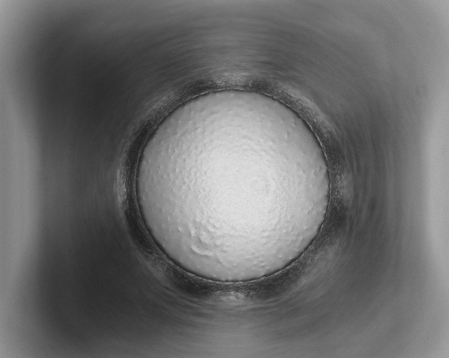 X0000101430687200807211150