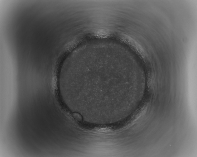 X0000101430689200807211150