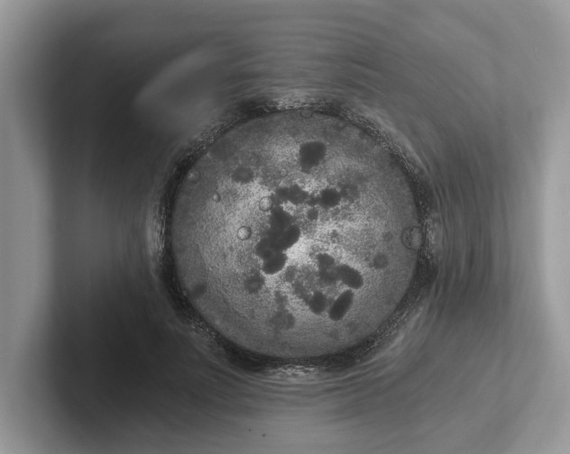 X0000101430691200807211150