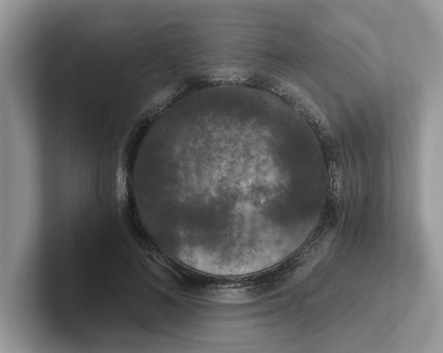 X0000101430692200807211150