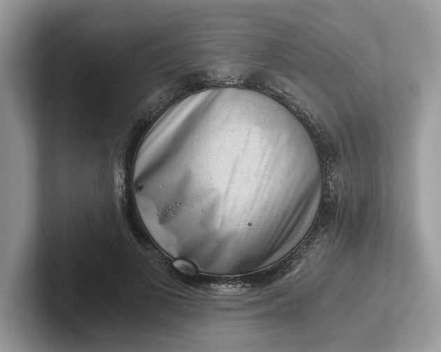 X0000101430693200807211150