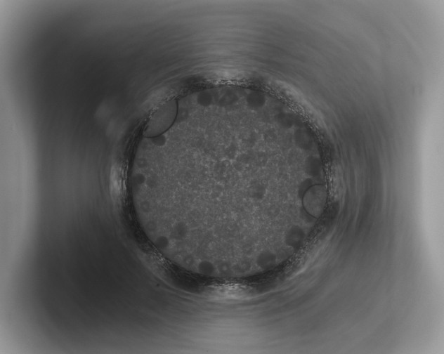 X0000101430695200807211150