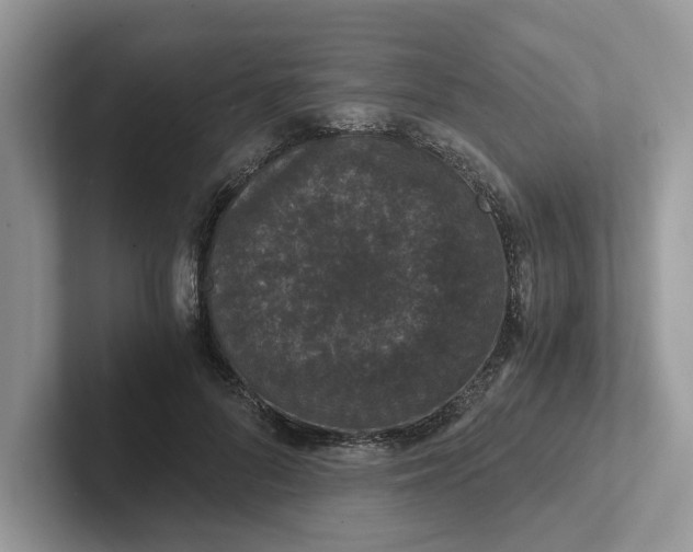 X0000101430696200807211150