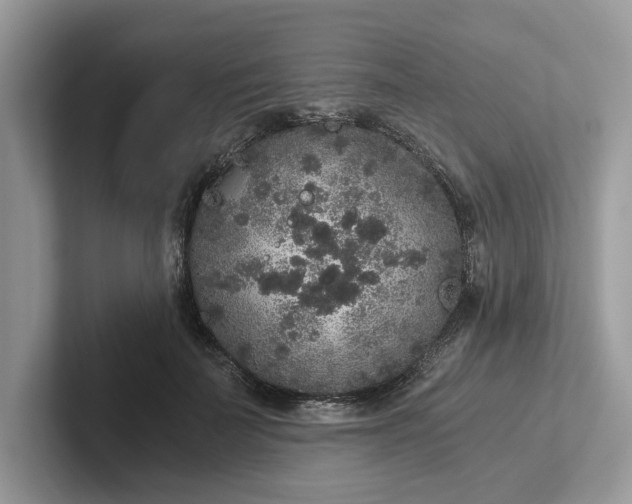 X0000101430699200807211150