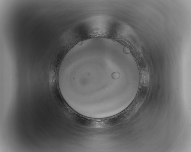 X0000101430701200807211150