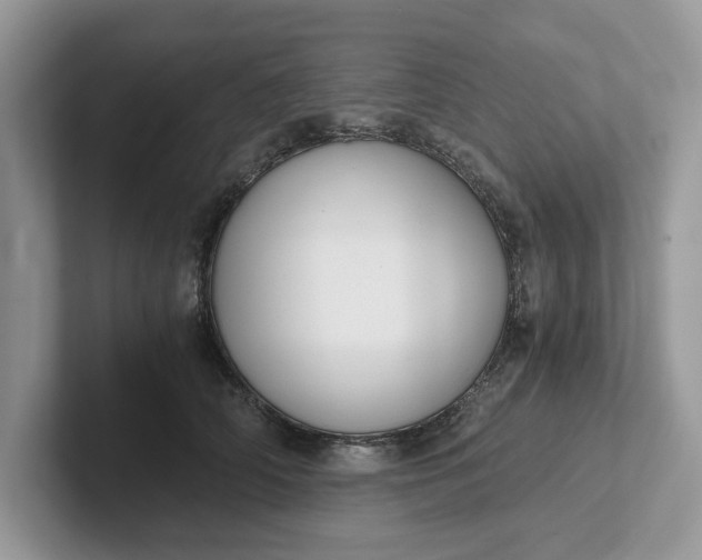 X0000101430706200807211150