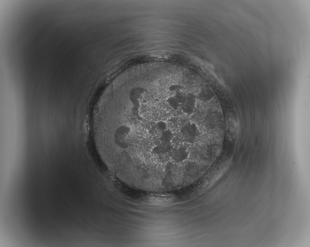 X0000101430707200807211150