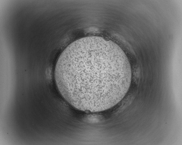 X0000101430708200807211150