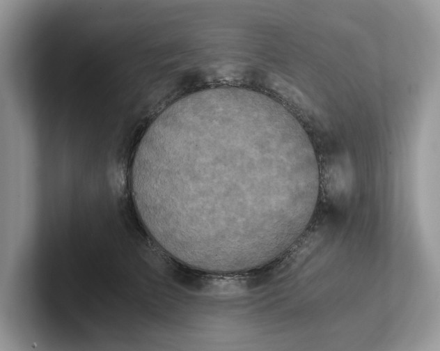 X0000101430709200807211150