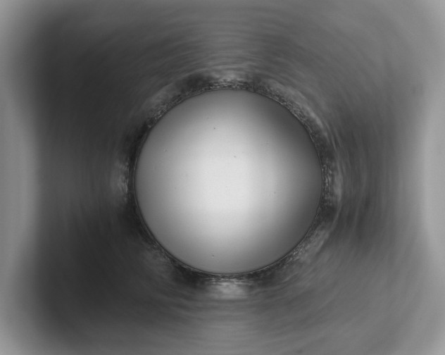 X0000101430710200807211150