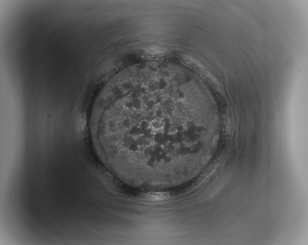 X0000101430711200807211150