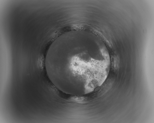 X0000101430712200807211150