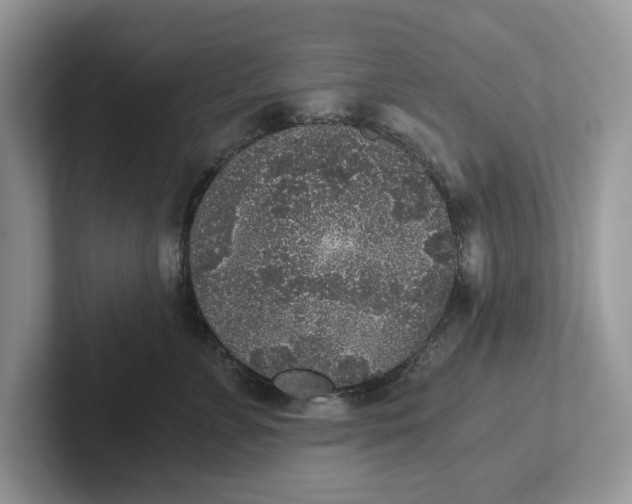 X0000101430715200807211150